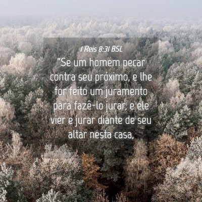 Picture 04 - 1 Reis 8:31 BSL - “Se um homem pecar contra seu próximo, e lhe - Bible Verse Picture