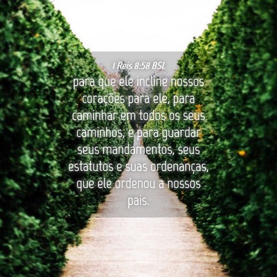 Picture 04 - 1 Reis 8:58 BSL - para que ele incline nossos corações para ele, - Bible Verse Picture