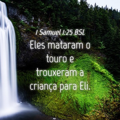 Picture 04 - 1 Samuel 1:25 BSL - Eles mataram o touro e trouxeram a criança para - Bible Verse Picture