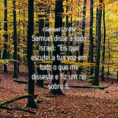 Picture 04 - 1 Samuel 12:1 BSL - Samuel disse a todo Israel: “Eis que escutei a - Bible Verse Picture