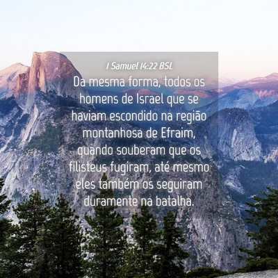 Picture 04 - 1 Samuel 14:22 BSL - Da mesma forma, todos os homens de Israel que se - Bible Verse Picture