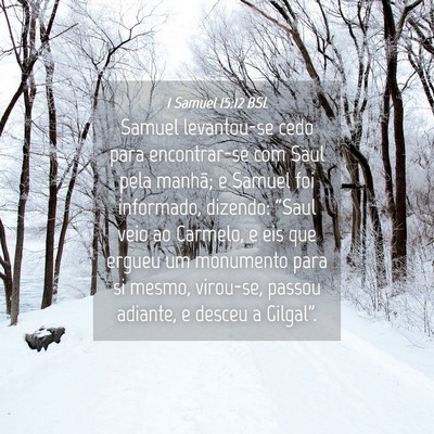 Picture 04 - 1 Samuel 15:12 BSL - Samuel levantou-se cedo para encontrar-se com - Bible Verse Picture