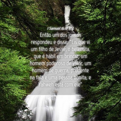 Picture 04 - 1 Samuel 16:18 BSL - Então um dos jovens respondeu e disse: “Eis - Bible Verse Picture