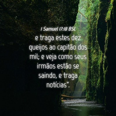 Picture 04 - 1 Samuel 17:18 BSL - e traga estes dez queijos ao capitão dos mil; e - Bible Verse Picture