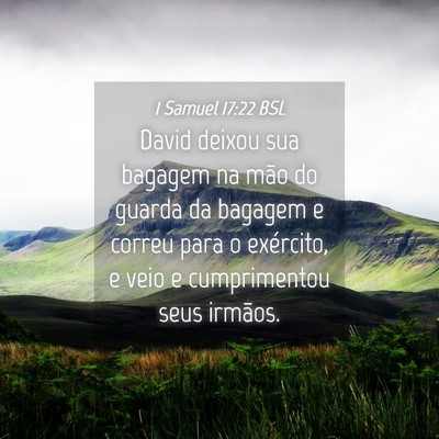 Picture 04 - 1 Samuel 17:22 BSL - David deixou sua bagagem na mão do guarda da - Bible Verse Picture