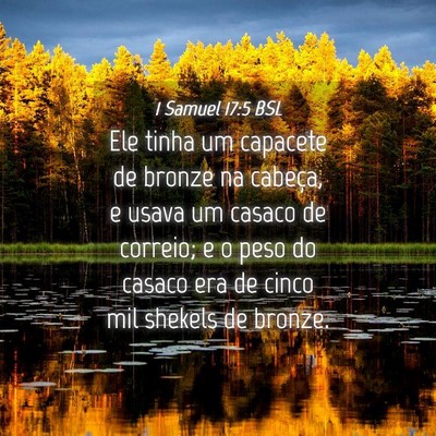 Picture 04 - 1 Samuel 17:5 BSL - Ele tinha um capacete de bronze na cabeça, e - Bible Verse Picture