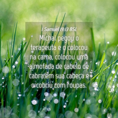 Picture 04 - 1 Samuel 19:13 BSL - Michal pegou o terapeuta e o colocou na cama, - Bible Verse Picture