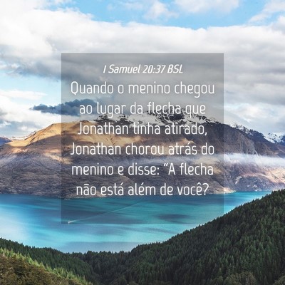 Picture 04 - 1 Samuel 20:37 BSL - Quando o menino chegou ao lugar da flecha que - Bible Verse Picture