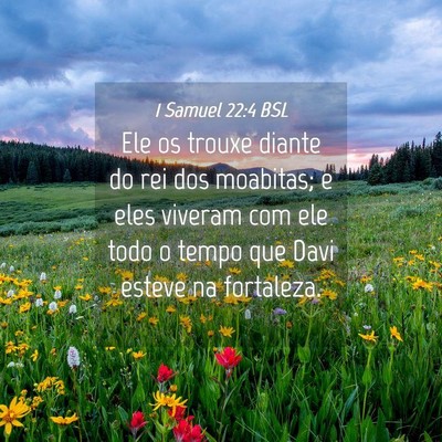 Picture 04 - 1 Samuel 22:4 BSL - Ele os trouxe diante do rei dos moabitas; e eles - Bible Verse Picture
