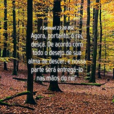 Picture 04 - 1 Samuel 23:20 BSL - Agora, portanto, ó rei, desça. De acordo com - Bible Verse Picture