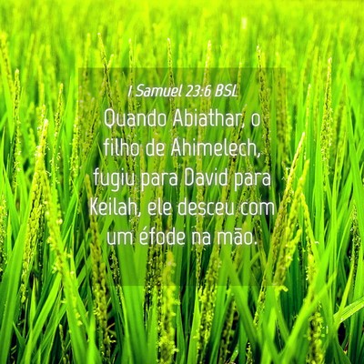 Picture 04 - 1 Samuel 23:6 BSL - Quando Abiathar, o filho de Ahimelech, fugiu para - Bible Verse Picture