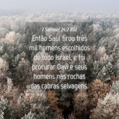 Picture 04 - 1 Samuel 24:2 BSL - Então Saul tirou três mil homens escolhidos de - Bible Verse Picture