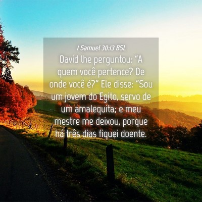 Picture 04 - 1 Samuel 30:13 BSL - David lhe perguntou: “A quem você pertence? De - Bible Verse Picture
