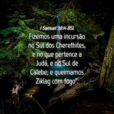 Picture 04 - 1 Samuel 30:14 BSL - Fizemos uma incursão no Sul dos Cherethites, e - Bible Verse Picture