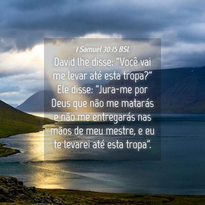 Picture 04 - 1 Samuel 30:15 BSL - David lhe disse: “Você vai me levar até esta - Bible Verse Picture