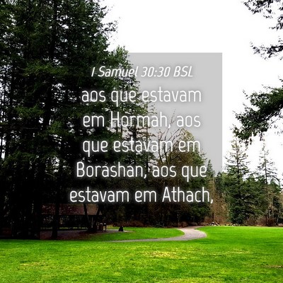 Picture 04 - 1 Samuel 30:30 BSL - aos que estavam em Hormah, aos que estavam em - Bible Verse Picture