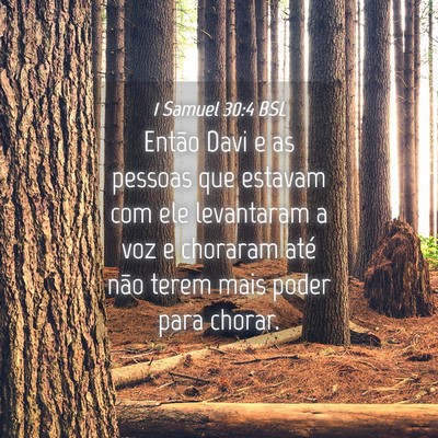 Picture 04 - 1 Samuel 30:4 BSL - Então Davi e as pessoas que estavam com ele - Bible Verse Picture