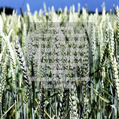 Picture 04 - 1 Samuel 30:8 BSL - David perguntou a Yahweh, dizendo: “Se eu - Bible Verse Picture