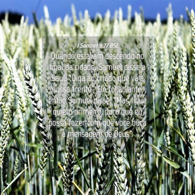 Picture 04 - 1 Samuel 9:27 BSL - Quando estavam descendo no final da cidade, - Bible Verse Picture
