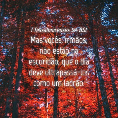 Picture 04 - 1 Tessalonicenses 5:4 BSL - Mas vocês, irmãos, não estão na escuridão, - Bible Verse Picture