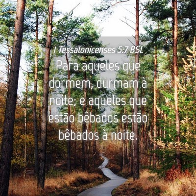 Picture 04 - 1 Tessalonicenses 5:7 BSL - Para aqueles que dormem, durmam à noite; e - Bible Verse Picture