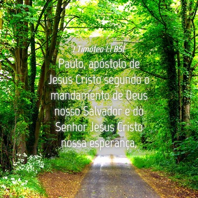 Picture 04 - 1 Timóteo 1:1 BSL - Paulo, apóstolo de Jesus Cristo segundo o - Bible Verse Picture