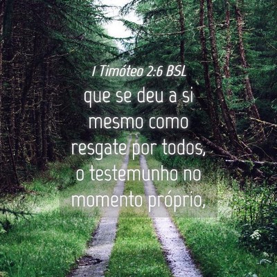 Picture 04 - 1 Timóteo 2:6 BSL - que se deu a si mesmo como resgate por todos, o - Bible Verse Picture