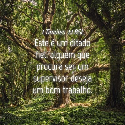 Picture 04 - 1 Timóteo 3:1 BSL - Este é um ditado fiel: alguém que procura ser - Bible Verse Picture