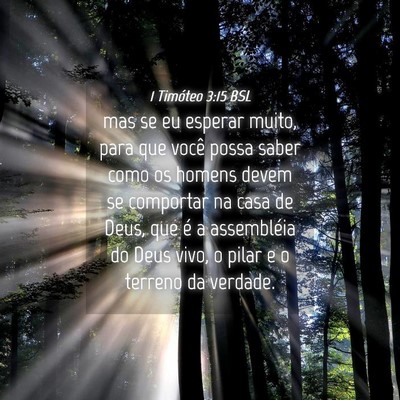 Picture 04 - 1 Timóteo 3:15 BSL - mas se eu esperar muito, para que você possa - Bible Verse Picture