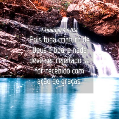 Picture 04 - 1 Timóteo 4:4 BSL - Pois toda criatura de Deus é boa, e nada deve - Bible Verse Picture