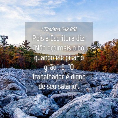 Picture 04 - 1 Timóteo 5:18 BSL - Pois a Escritura diz: “Não açaimeis o boi - Bible Verse Picture