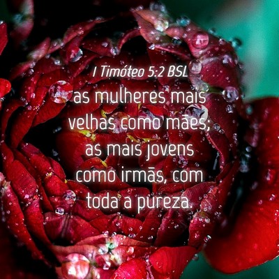 Picture 04 - 1 Timóteo 5:2 BSL - as mulheres mais velhas como mães; as mais - Bible Verse Picture