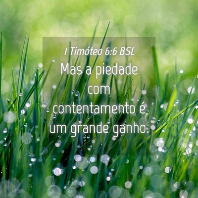Picture 04 - 1 Timóteo 6:6 BSL - Mas a piedade com contentamento é um grande - Bible Verse Picture