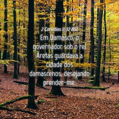Picture 04 - 2 Coríntios 11:32 BSL - Em Damasco, o governador sob o rei Aretas - Bible Verse Picture