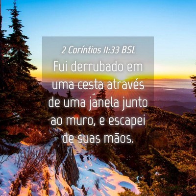 Picture 04 - 2 Coríntios 11:33 BSL - Fui derrubado em uma cesta através de uma janela - Bible Verse Picture