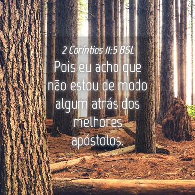 Picture 04 - 2 Coríntios 11:5 BSL - Pois eu acho que não estou de modo algum atrás - Bible Verse Picture