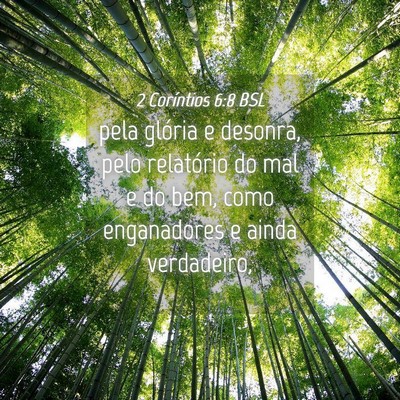 Picture 04 - 2 Coríntios 6:8 BSL - pela glória e desonra, pelo relatório do mal e - Bible Verse Picture