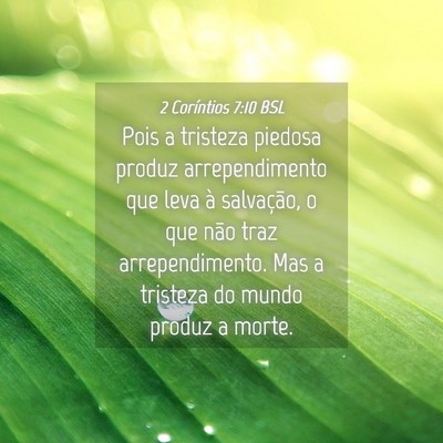 Picture 04 - 2 Coríntios 7:10 BSL - Pois a tristeza piedosa produz arrependimento que - Bible Verse Picture