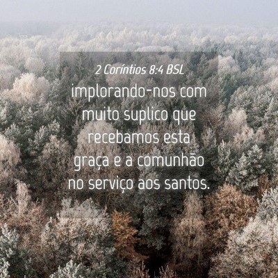 Picture 04 - 2 Coríntios 8:4 BSL - implorando-nos com muito suplico que recebamos - Bible Verse Picture