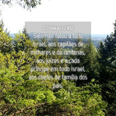 Picture 04 - 2 Crônicas 1:2 BSL - Salomão falou a todo Israel, aos capitães de - Bible Verse Picture