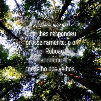 Picture 04 - 2 Crônicas 10:13 BSL - O rei lhes respondeu grosseiramente; e o rei - Bible Verse Picture