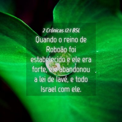 Picture 04 - 2 Crônicas 12:1 BSL - Quando o reino de Roboão foi estabelecido e ele - Bible Verse Picture