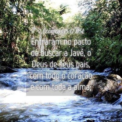 Picture 04 - 2 Crônicas 15:12 BSL - Entraram no pacto de buscar a Javé, o Deus de - Bible Verse Picture