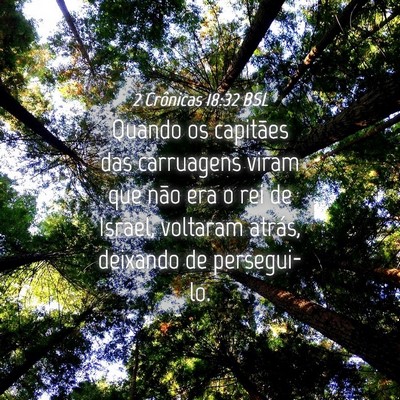 Picture 04 - 2 Crônicas 18:32 BSL - Quando os capitães das carruagens viram que não - Bible Verse Picture