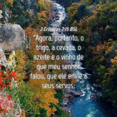 Picture 04 - 2 Crônicas 2:15 BSL - “Agora, portanto, o trigo, a cevada, o azeite e - Bible Verse Picture