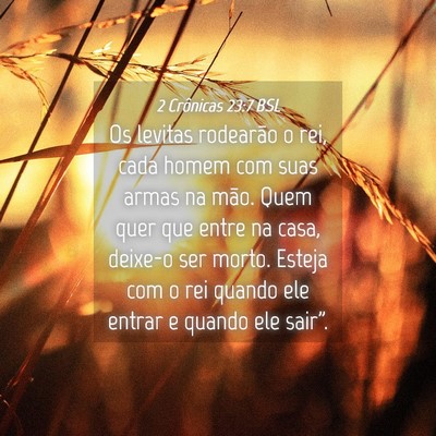 Picture 04 - 2 Crônicas 23:7 BSL - Os levitas rodearão o rei, cada homem com suas - Bible Verse Picture