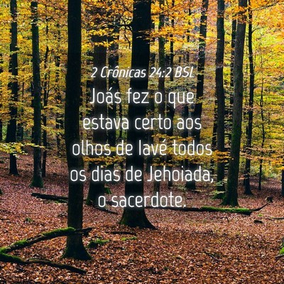 Picture 04 - 2 Crônicas 24:2 BSL - Joás fez o que estava certo aos olhos de Iavé - Bible Verse Picture