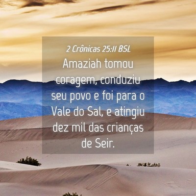 Picture 04 - 2 Crônicas 25:11 BSL - Amaziah tomou coragem, conduziu seu povo e foi - Bible Verse Picture