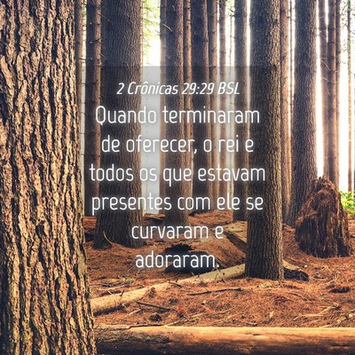 Picture 04 - 2 Crônicas 29:29 BSL - Quando terminaram de oferecer, o rei e todos os - Bible Verse Picture