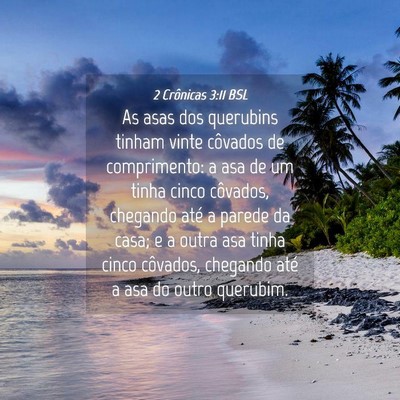 Picture 04 - 2 Crônicas 3:11 BSL - As asas dos querubins tinham vinte côvados de - Bible Verse Picture